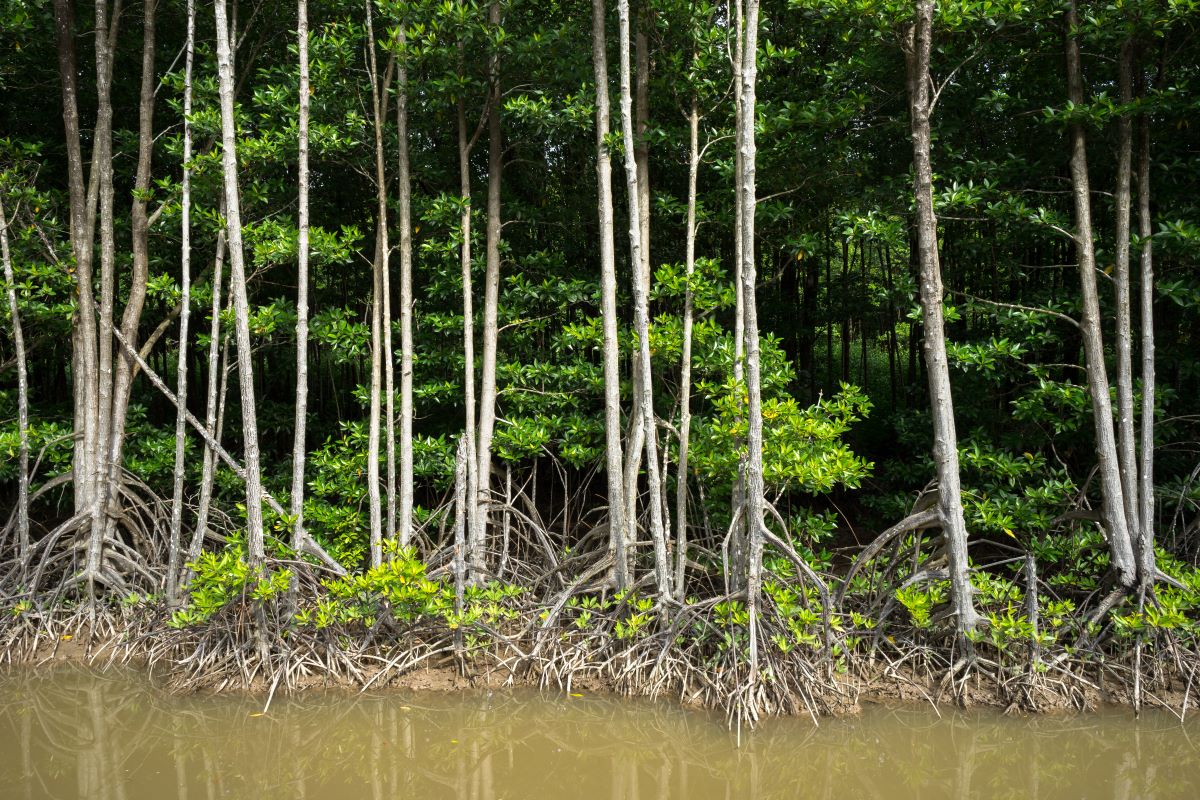 Degrado dei sistemi di acqua dolce: metà dei paesi del mondo in crisi secondo l'UNEP