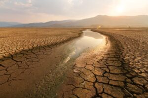 Conferenza internazionale sulla siccità, le possibili soluzioni