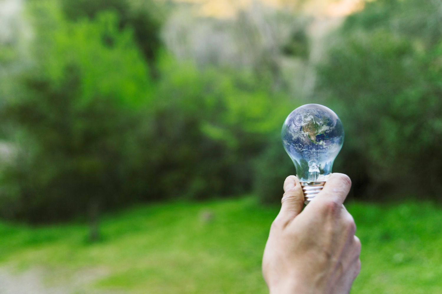Energia sostenibile: su cosa si punterà nel futuro?
