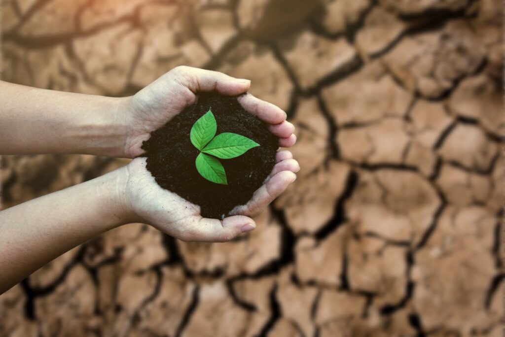 Adattamento ai cambiamenti climatici, l’UE rischia di rimanere indietro