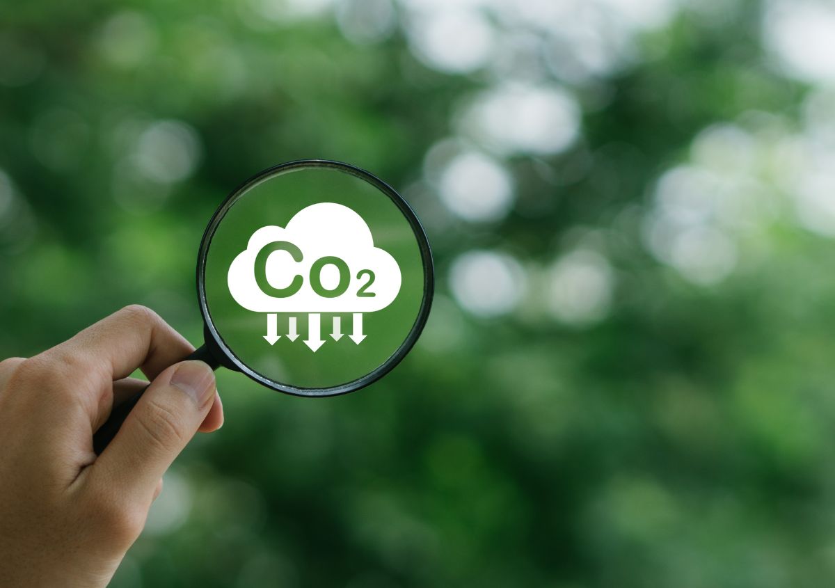 Come ridurre la carbon footprint 