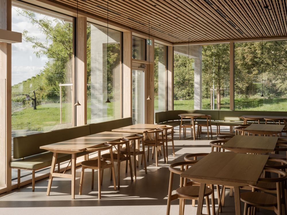 L'Ospedale Pediatrico Universitario di Zurigo-Lengg unisce natura e architettura
