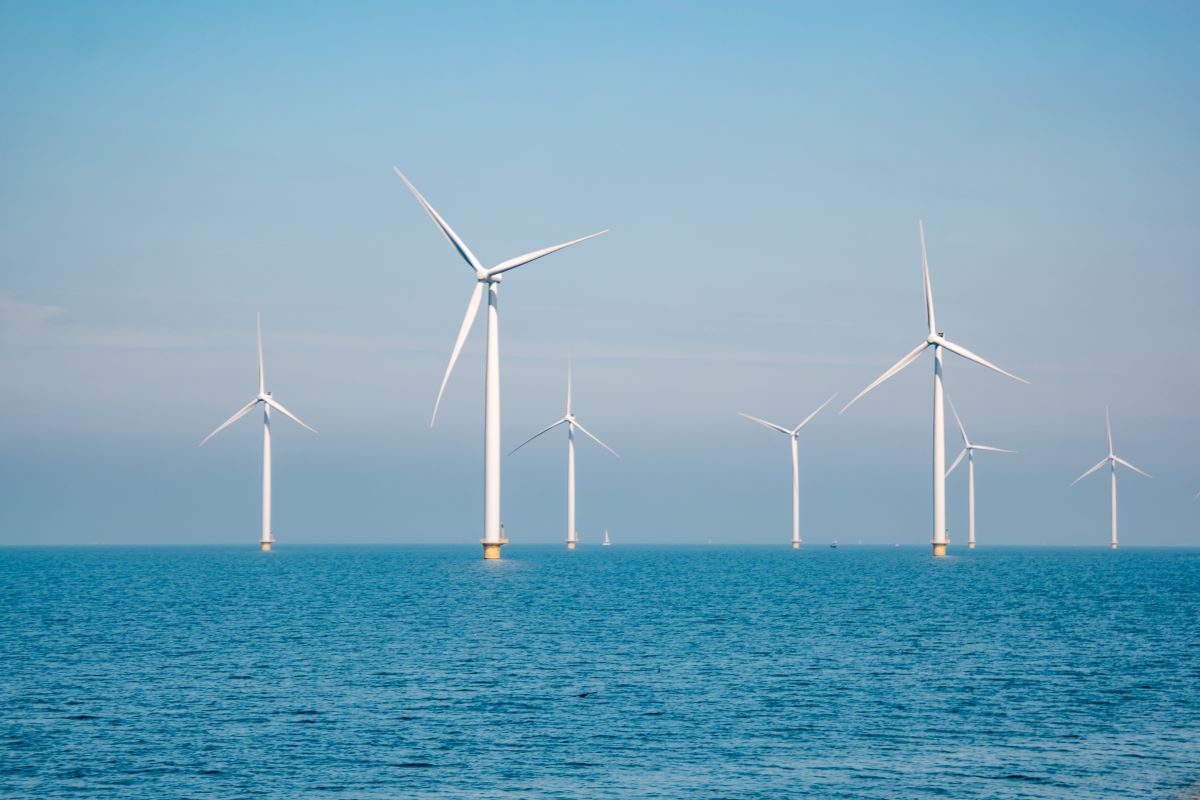Eolico offshore: Il delicato equilibrio dei mari del nord