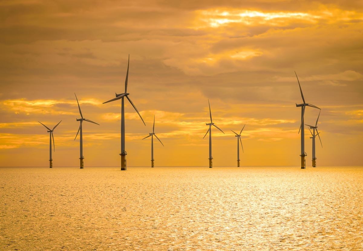 Come ridurre al minimo gli impatti ambientali dell’eolico offshore