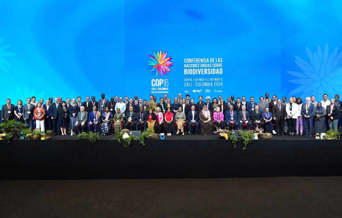 COP16: preoccupazioni sul finanziamento della biodiversità