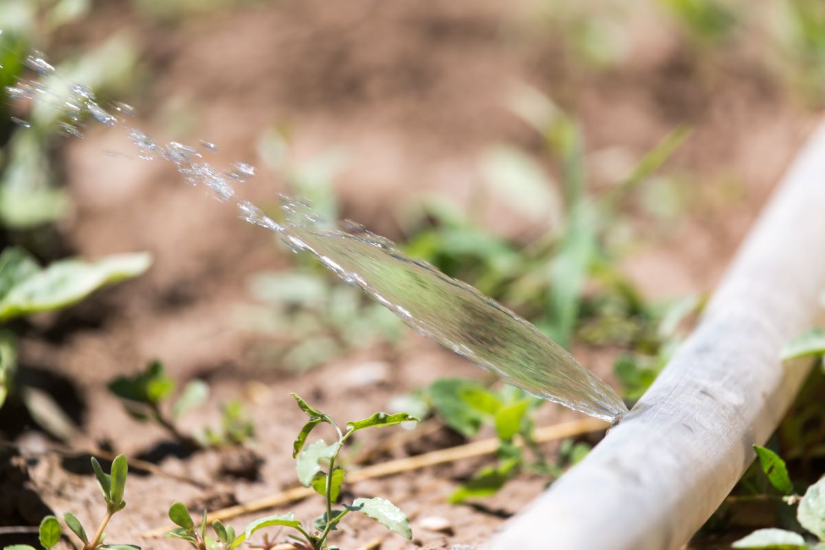 Perdite d'acqua lungo la rete idrica