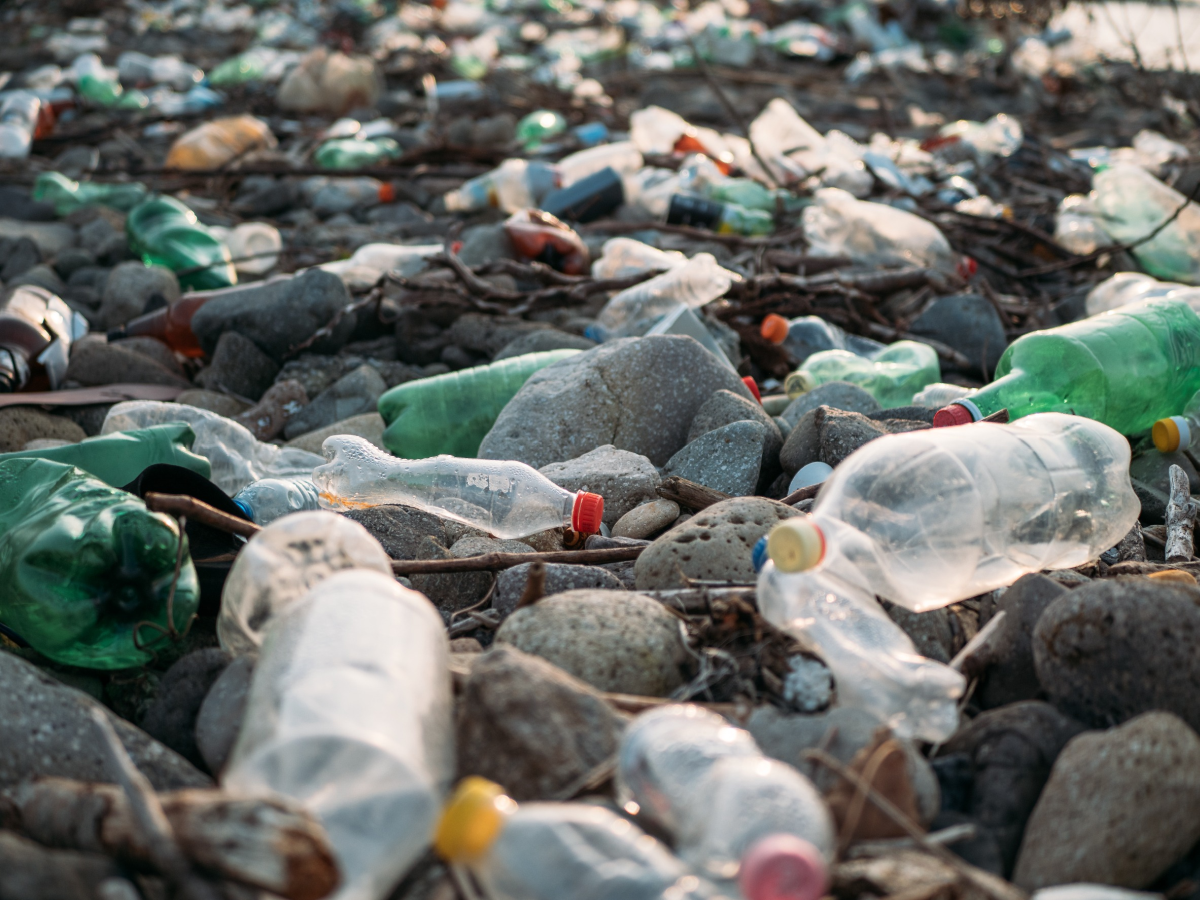 OCSE: la plastica aumenta vertiginosamente