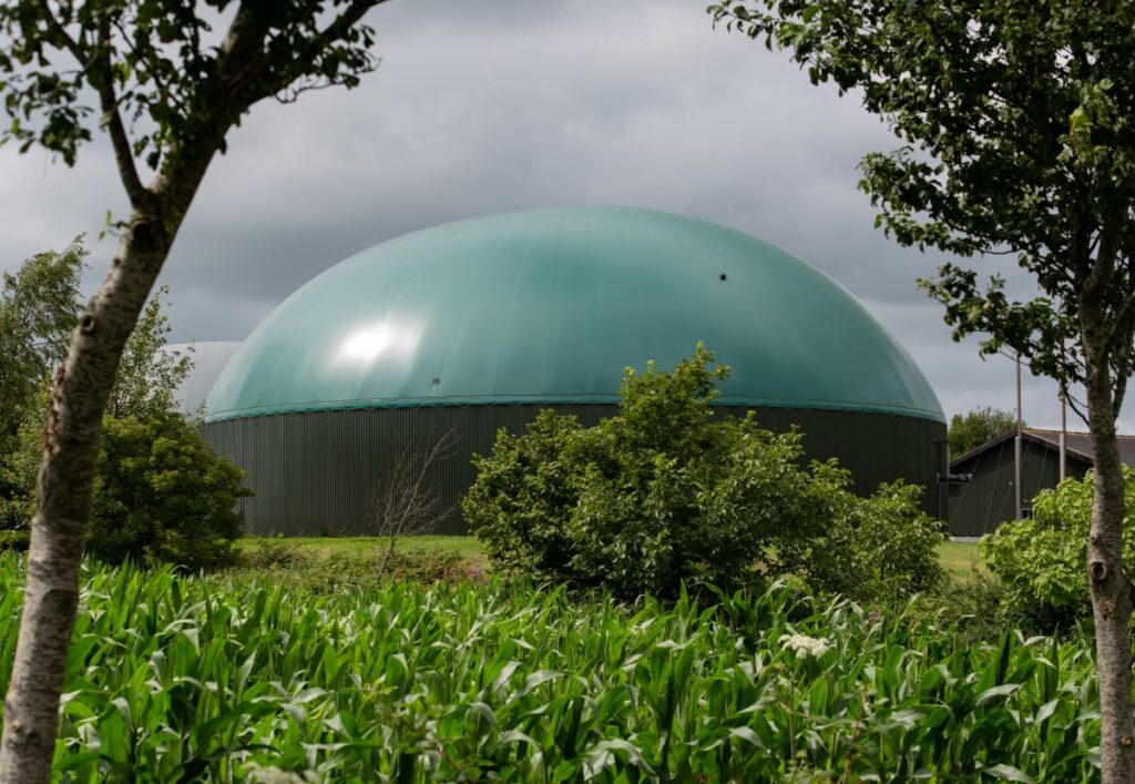 DM FER2, il MASE approva le regole operative per impianti alimentati da biogas e biomasse