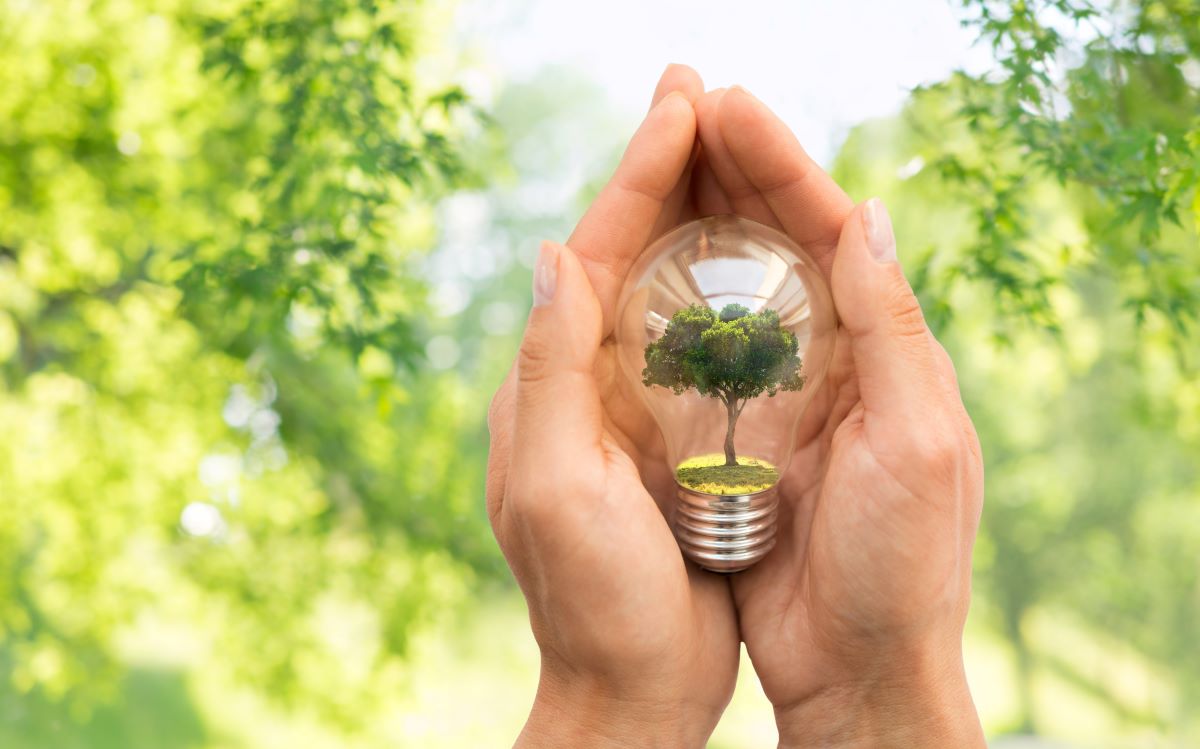Direttiva Case Green: 2030 e 2033, le soglie delle quote da riqualificare