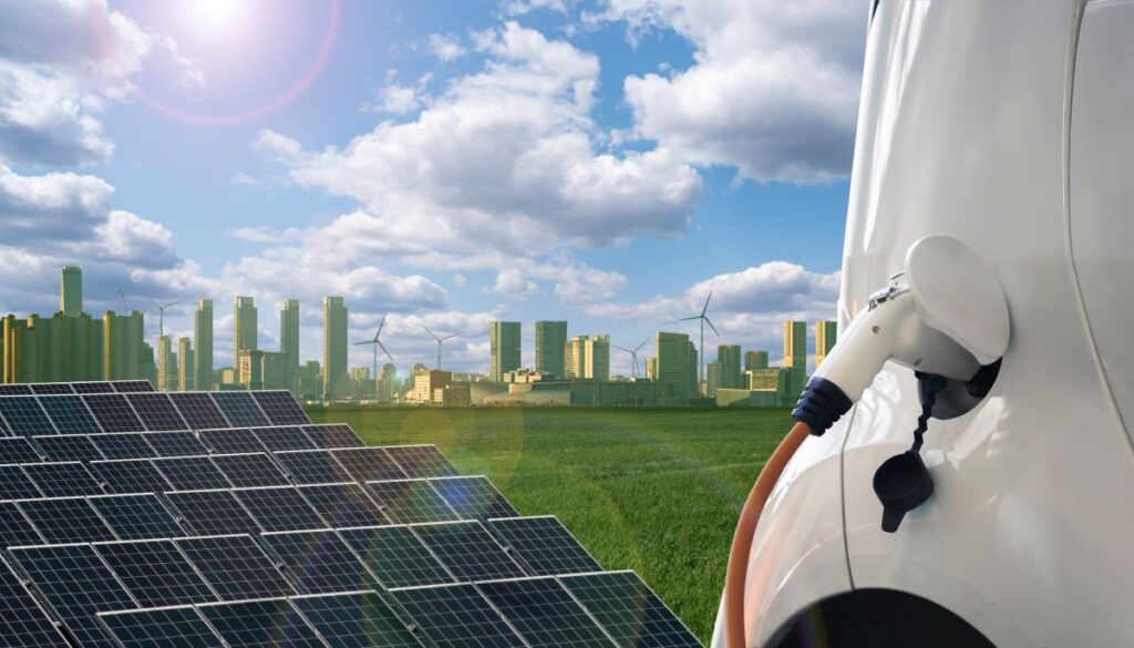 Obiettivo decarbonizzazione, lotta all’aumento delle emissioni e bocciatura del Pniec: il Wwf traccia la strada per l’Agenda 2030
