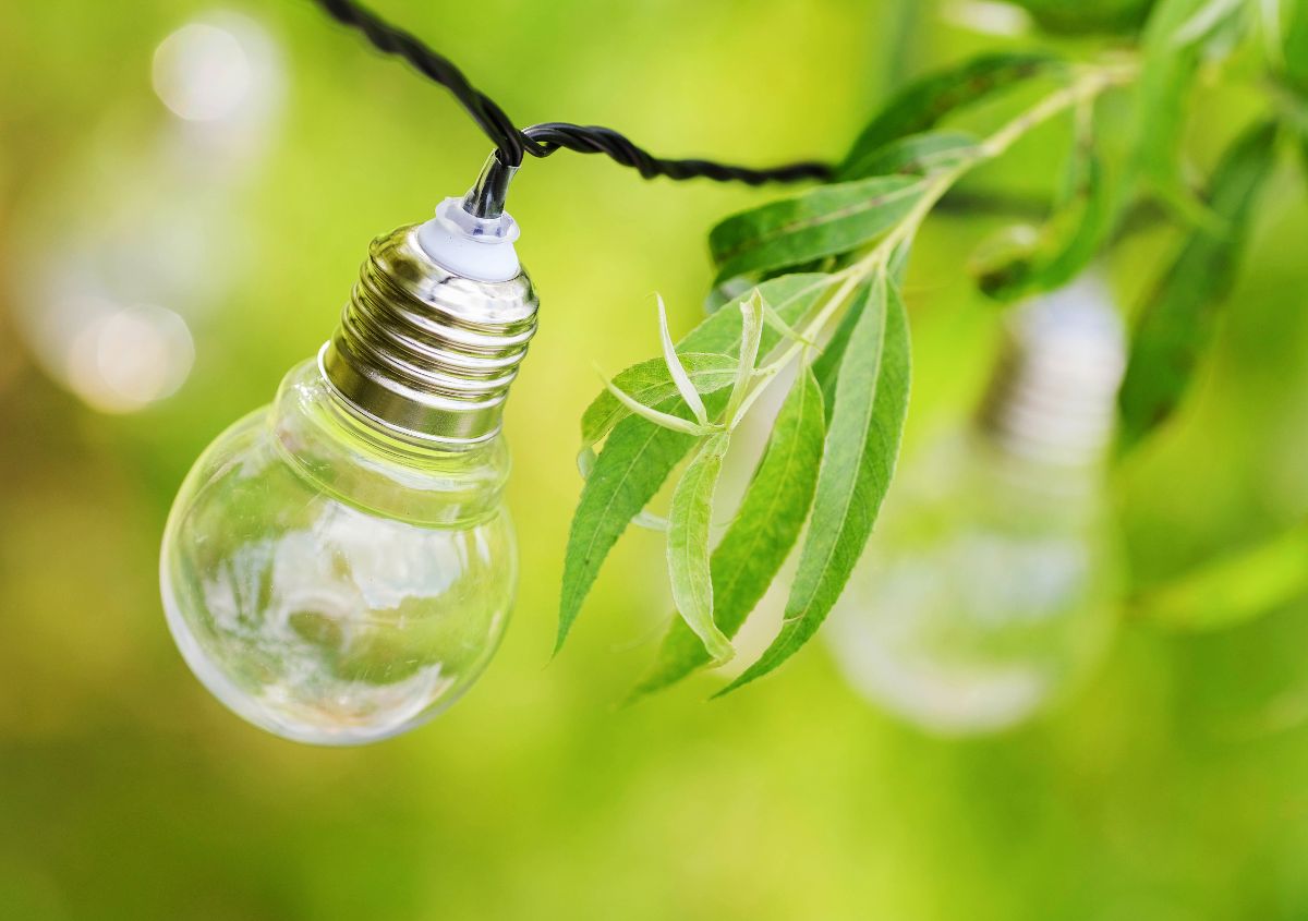 Le alternative al fotovoltaico per sfruttare le rinnovabili a casa
