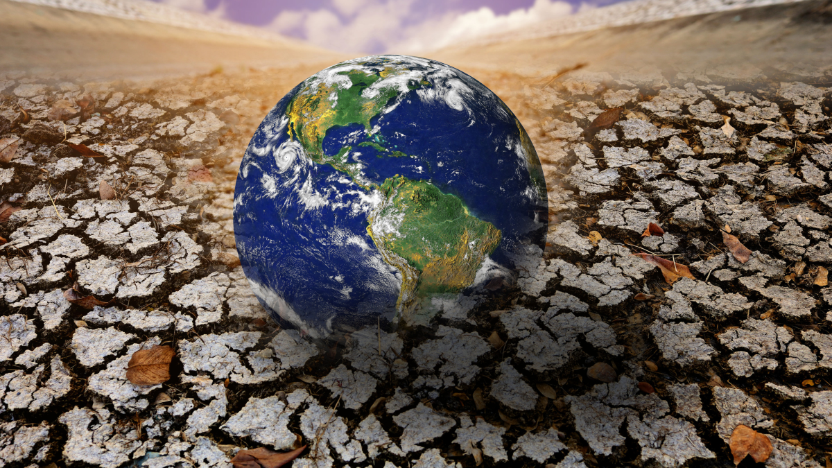Clima globale: 2024 anno più caldo di sempre. La conferma di Copernicus