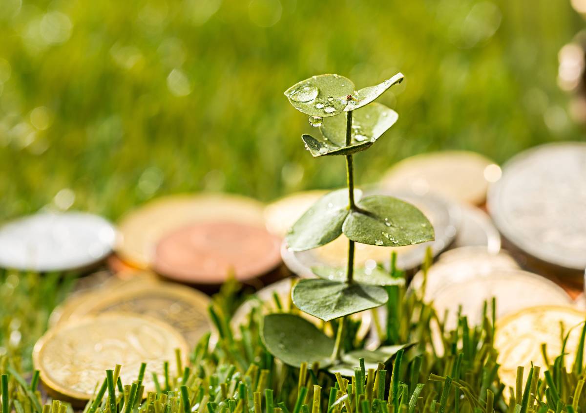 Tipologie di crediti di carbonio e progetti realizzabili