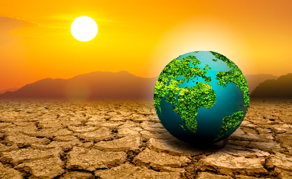 Il Global Risks Report 2025: sempre troppi i rischi ambientali 