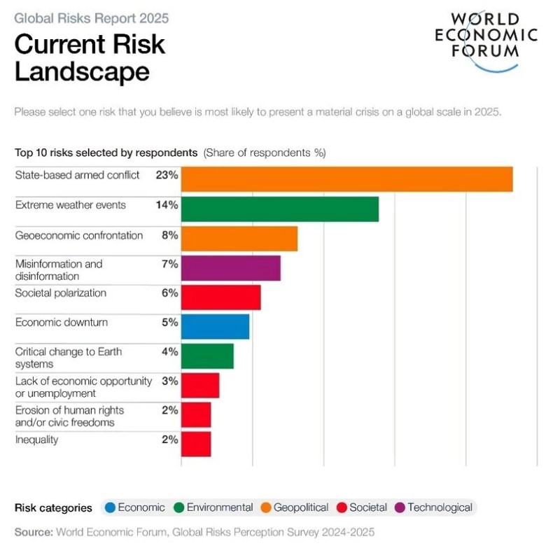 Global Risks Report 2025