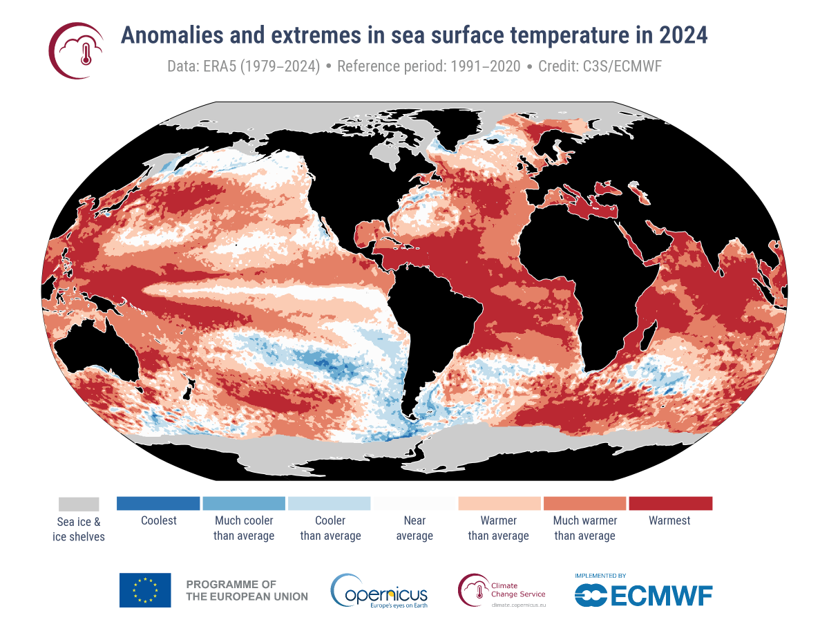 cambiamento climatico: anomalie temperatura del mare