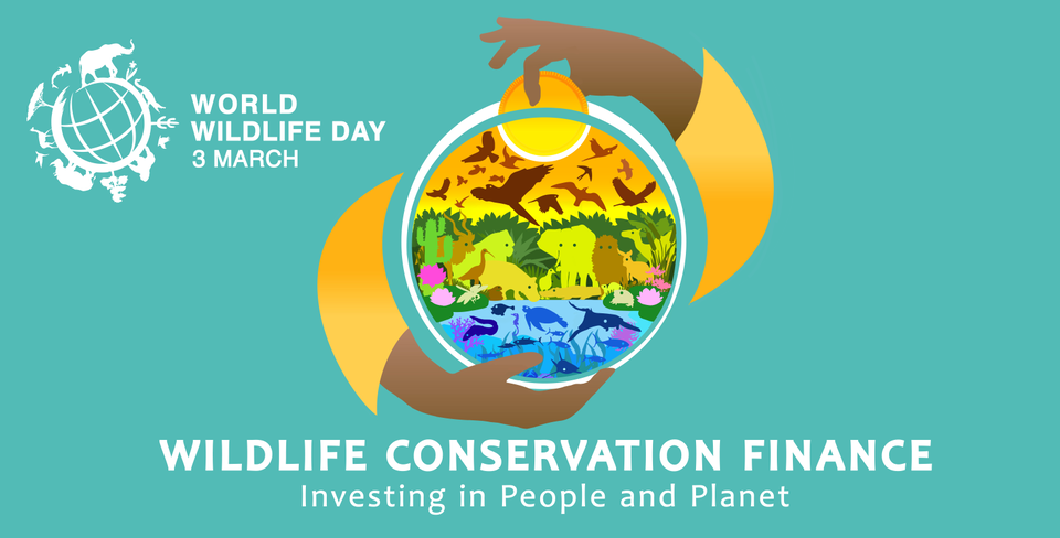 Giornata Mondiale della Fauna Selvatica 2025: in difesa degli ecosistemi