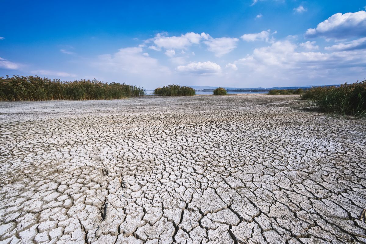 Clima: il riscaldamento globale accelera più delle azioni dei governi