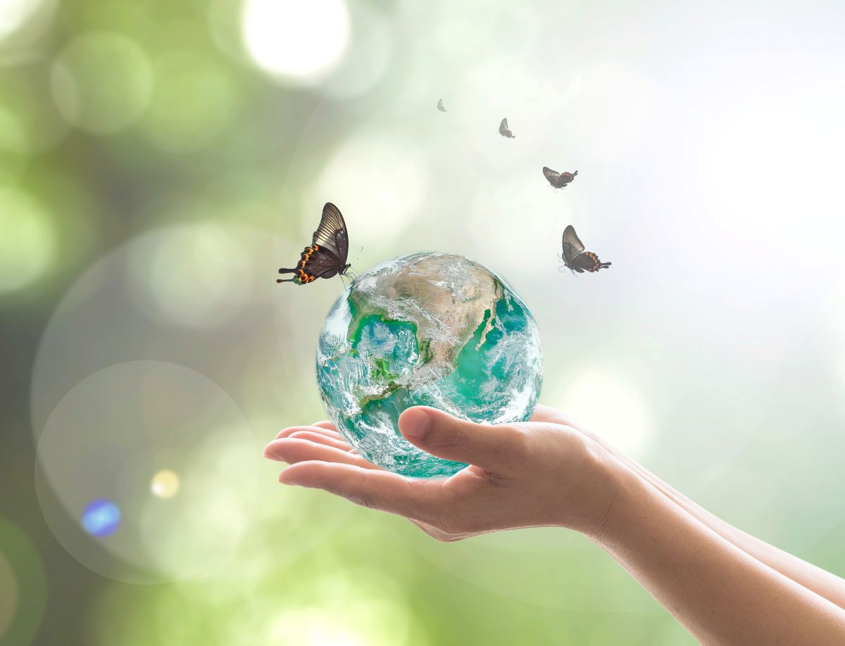 COP16 biodiversità, qualcosa si muove