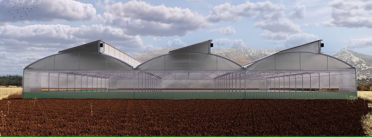 Serra Archimede: serra fotovoltaica