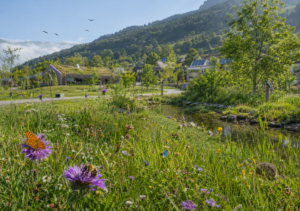 Giornata Internazionale della Biodiversità 2026: agire localmente per un impatto globale