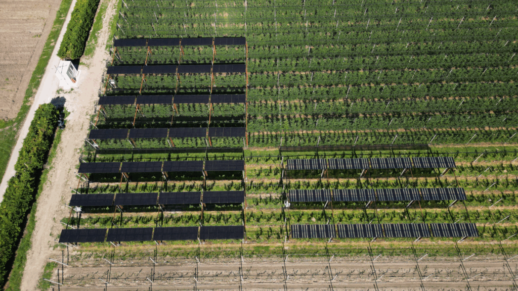 Agrivoltaico in Alto Adige: innovazione tra i filari di meleti