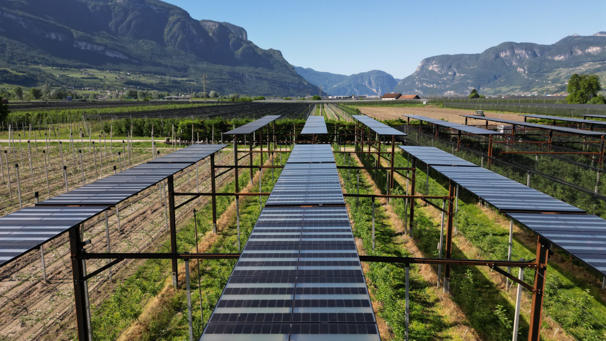 Agrivoltaico in Alto Adige: innovazione tra i filari di meleti con il progetto europeo Symbiosyst,