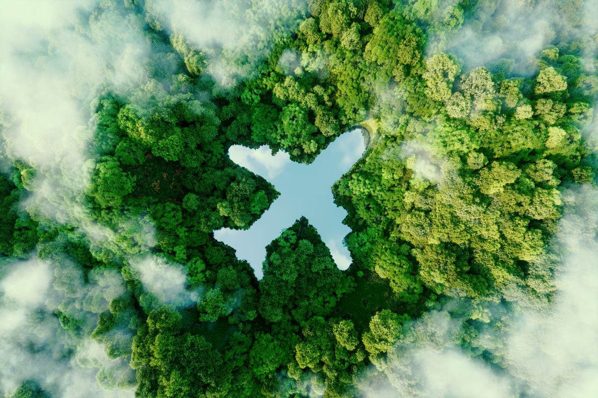Qual è il ruolo dei biogas e dei biocombustibili nella decarbonizzazione delle realtà hard-to-abate?