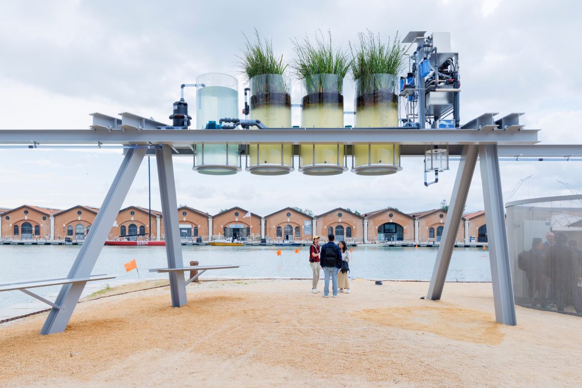 Il miglior espresso d’Italia? Si realizza con l’acqua della laguna di Venezia