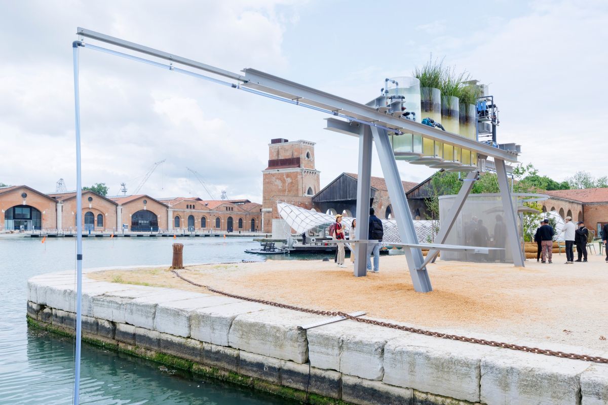 Progetto Canal Cafè: dalla depurazione delle acque della laguna di Venezia si produce caffè espresso