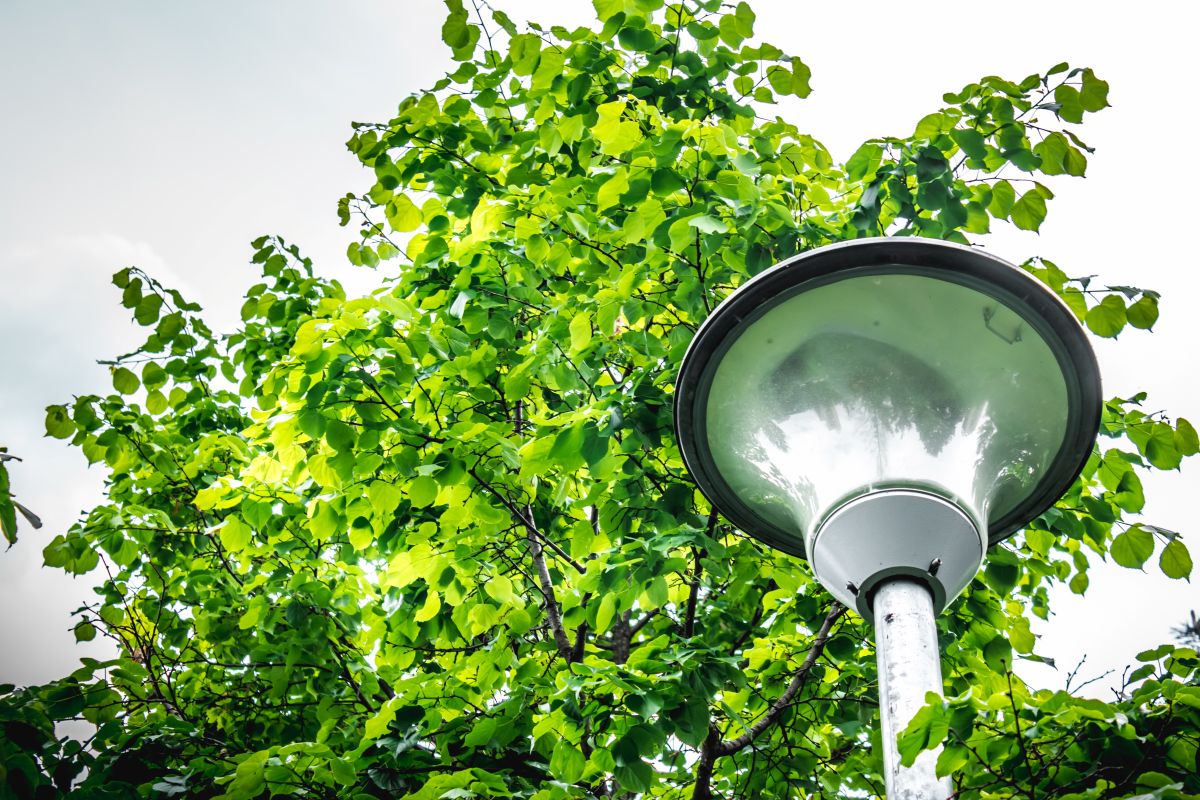 La luce come leva per il risparmio energetico