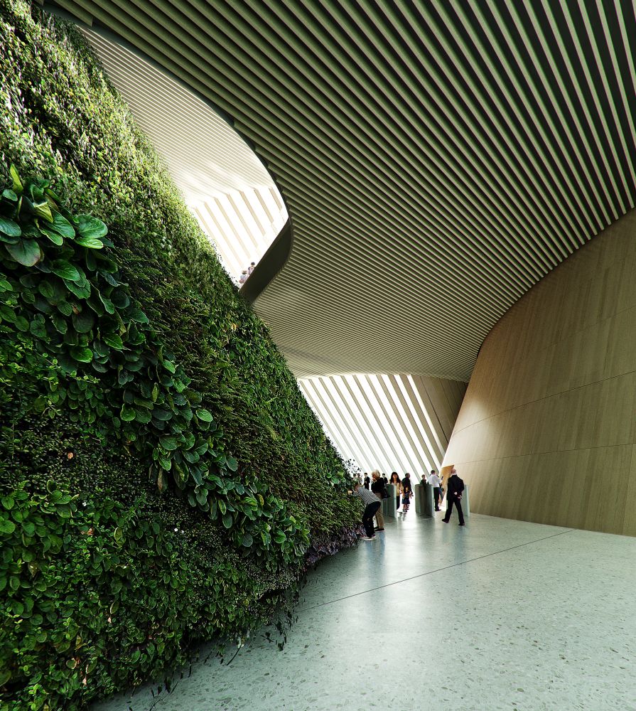 Interno del Shenzhen Natural History Museum, progetto di 3XN