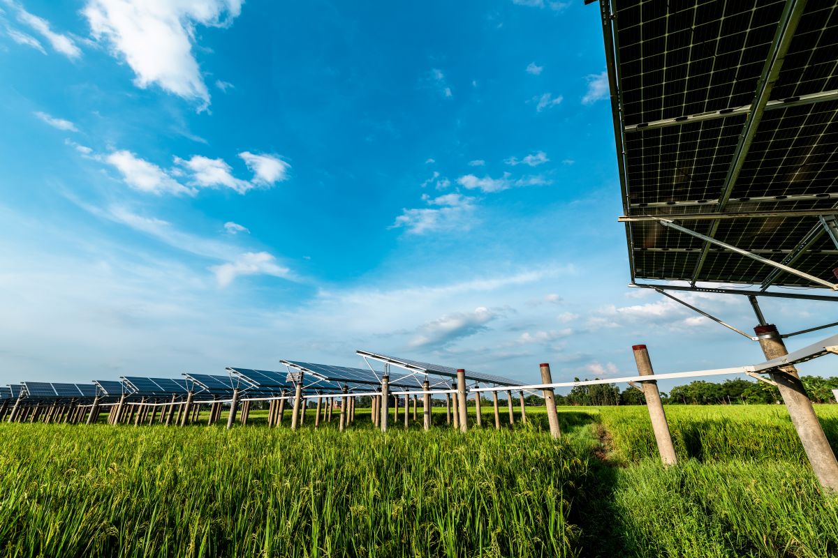Fotovoltaico su terreno agricolo: aree idonee, le ultime sentenze