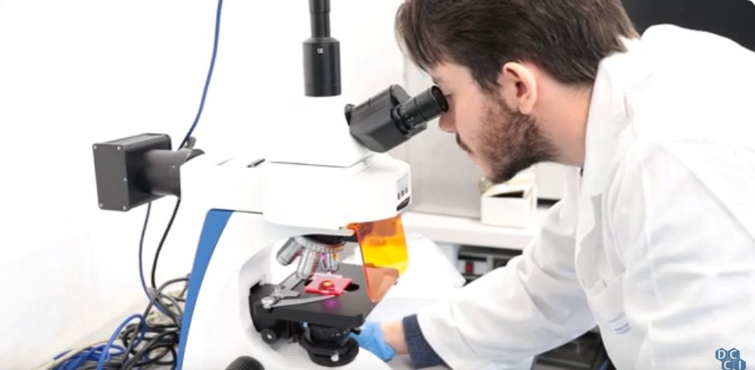 Dall'Università di Pisa i pannelli solari colorati in plastica riciclata 