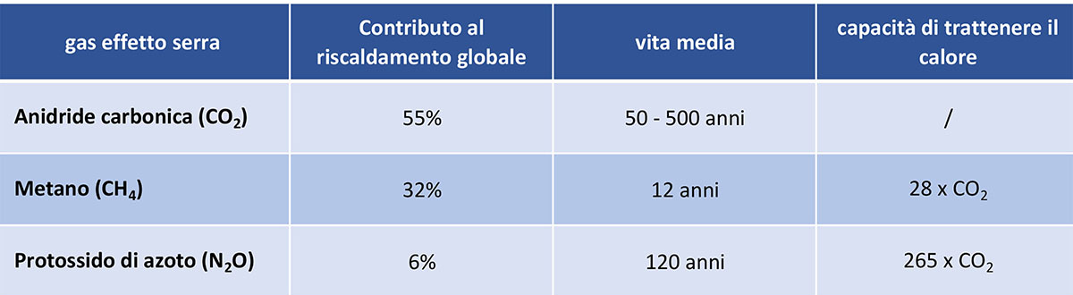 La CO2 a confronto con gli altri gas a effetto serra rilasciati nell’atmosfera (Commissione Europea)