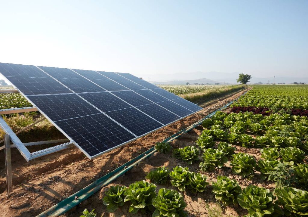 Green Fair – Agorà delle Energie Rinnovabili