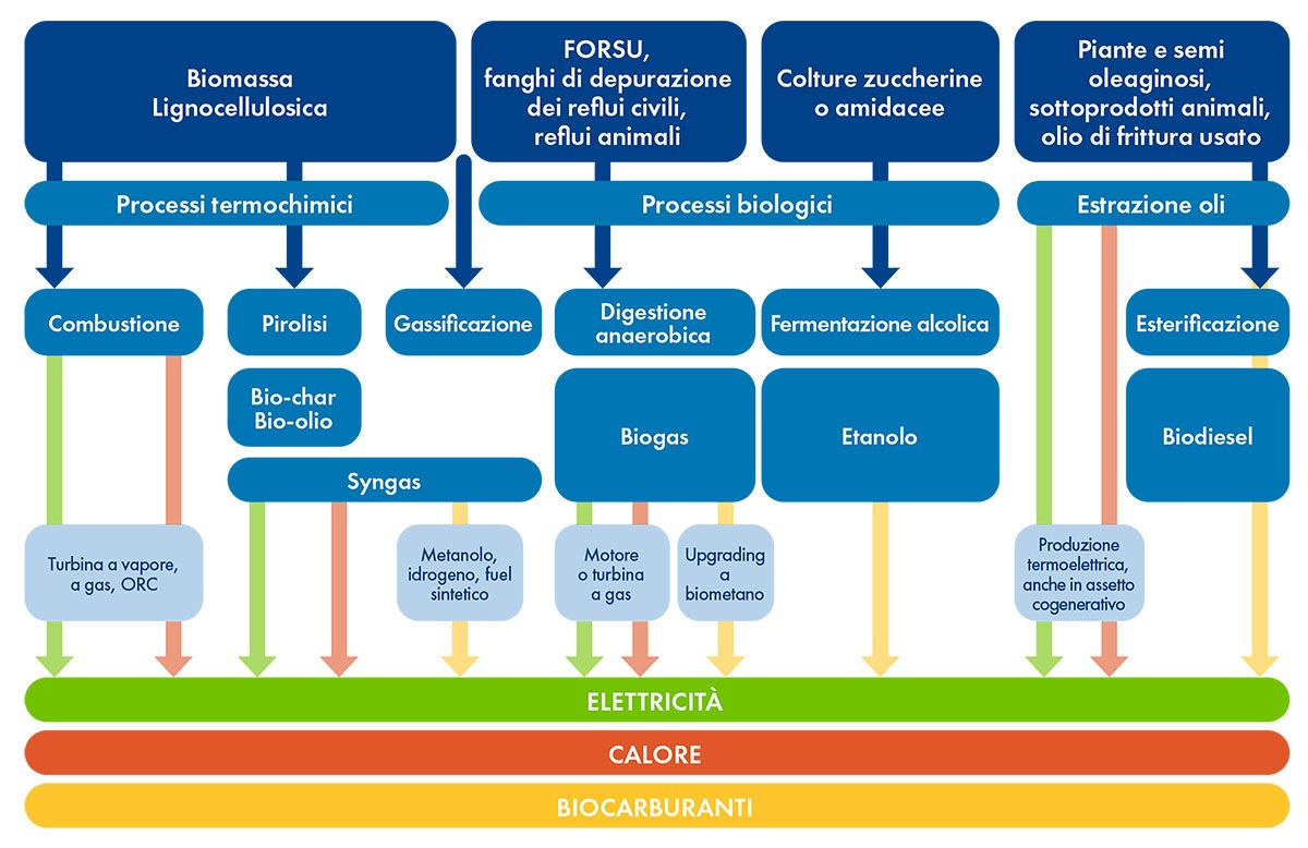 Materie prime, processi di conversione e possibili output (fonte: Elettricità Futura)
