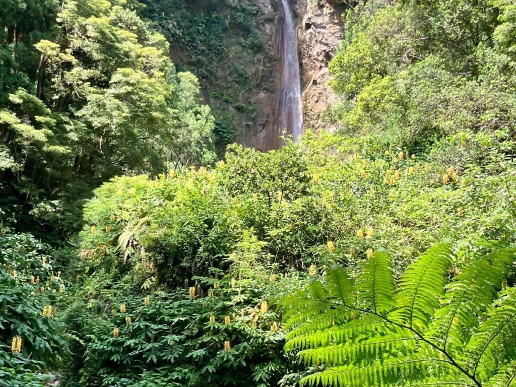 Giornata Mondiale per la Conservazione della Natura 2025: prendiamoci cura della natura