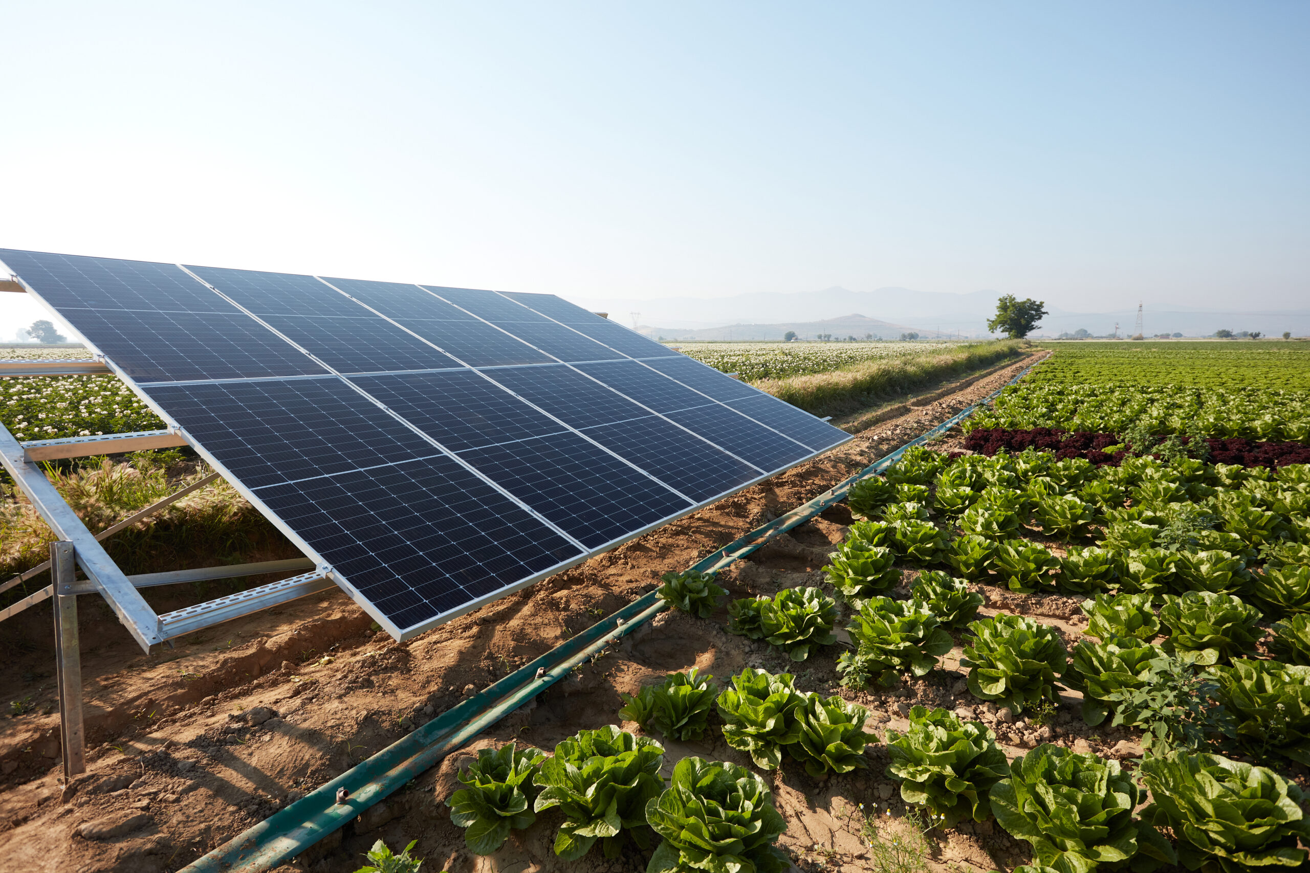 Green Fair – Agorà delle Energie Rinnovabili