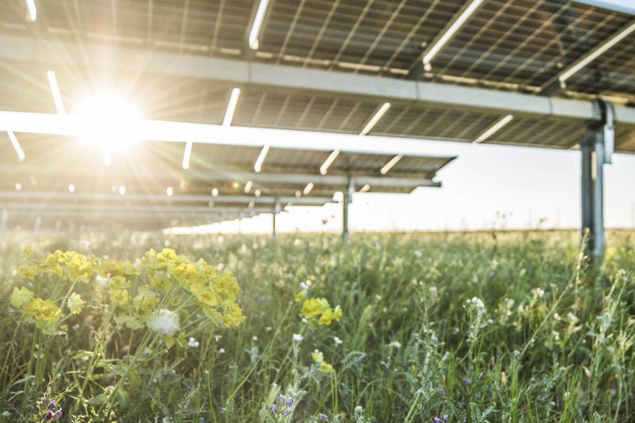 AIEM GREEN vende un portafoglio fotovoltaico da 75 MWp ad AGSM AIM Power