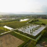 Parco della Pace: paesaggio ad hoc per biodiversità e sicurezza
