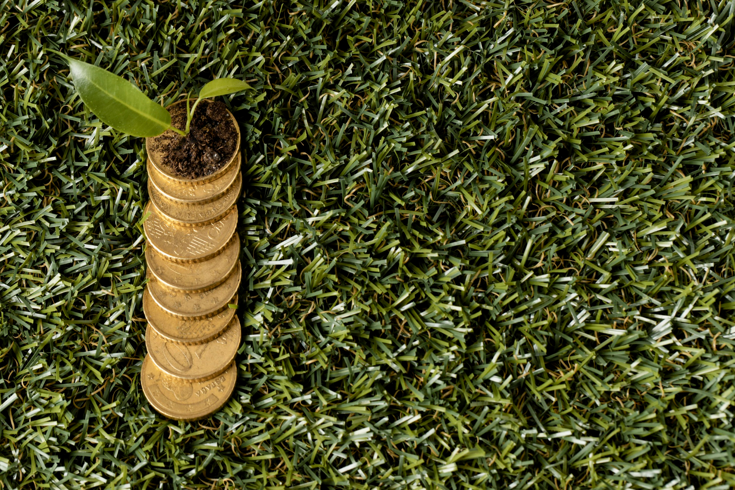Soluzioni green: come richiedere liquidità per interventi sostenibili