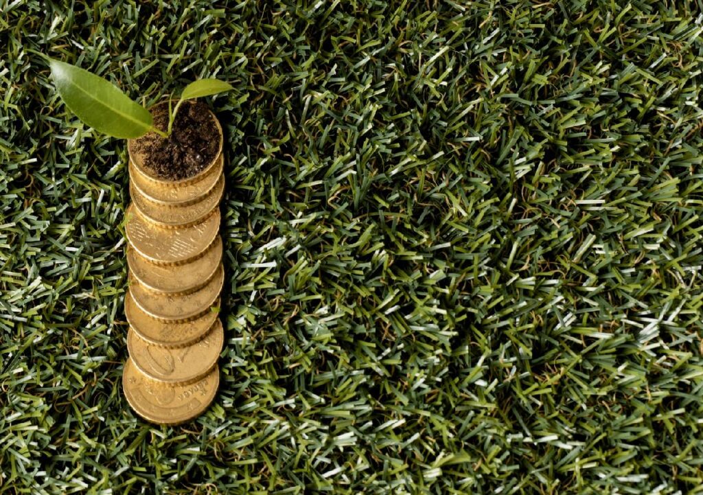 Soluzioni green: come richiedere liquidità per interventi sostenibili
