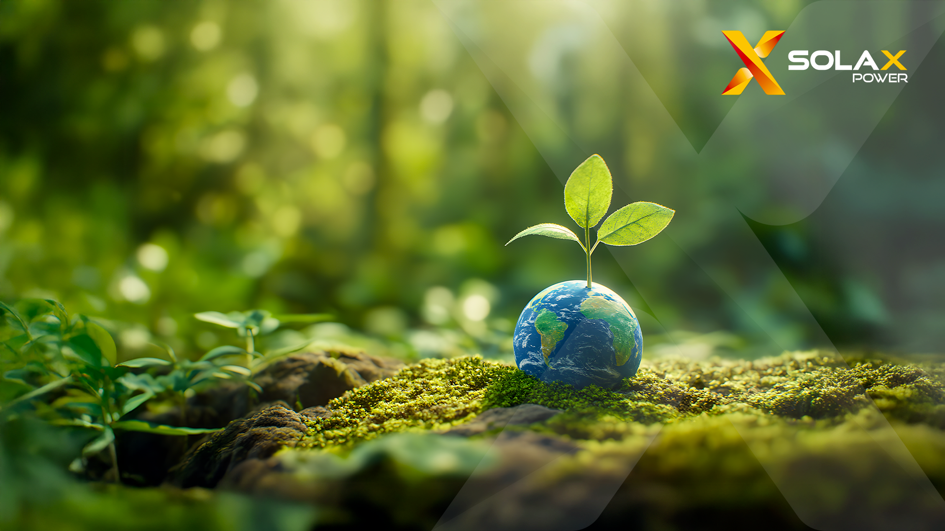 SolaX Power pubblica il primo Rapporto ESG: sostenibilità e innovazione per il futuro dell’energia