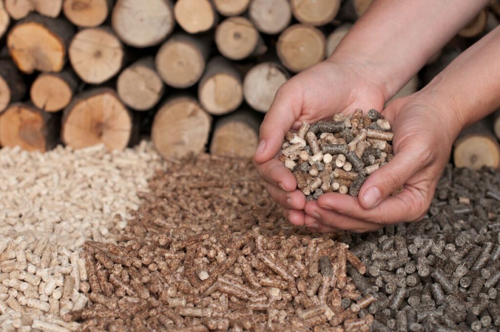 Riscaldare l’Italia senza fossili: il ruolo delle biomasse legnose