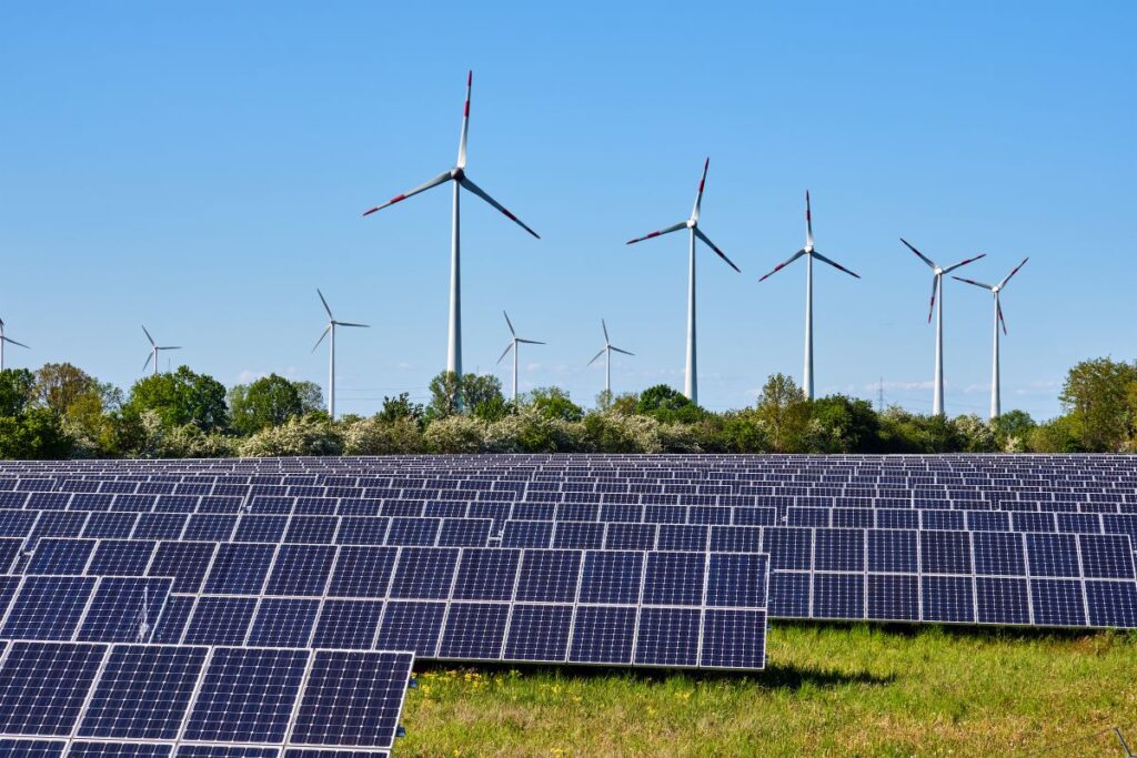 Sei principi per una transizione energetica nature-positive