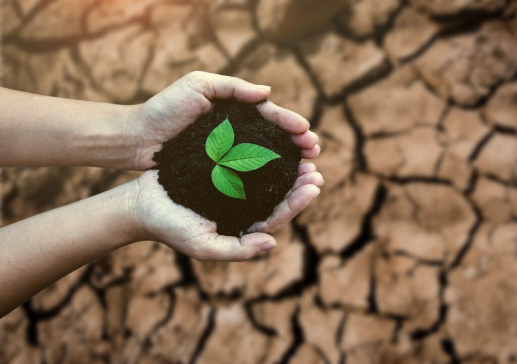13 ottobre, Giornata internazionale per la riduzione dei rischi naturali 2026: la resilienza inizia a casa