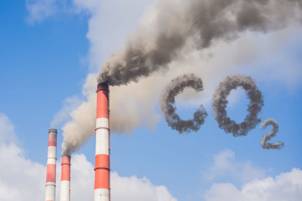 Nuovo allarme per il clima: aumento record dei livelli di anidride carbonica