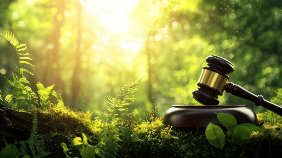 Nature Restoration Law: ripristinare l’ambiente è un’opportunità economica da non perdere