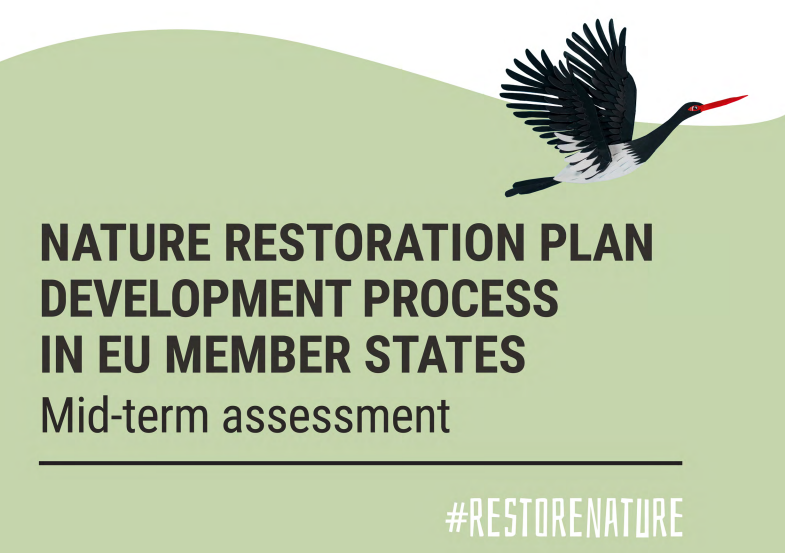 National Restoration Plans: luci e ombre nella valutazione intermedia UE
